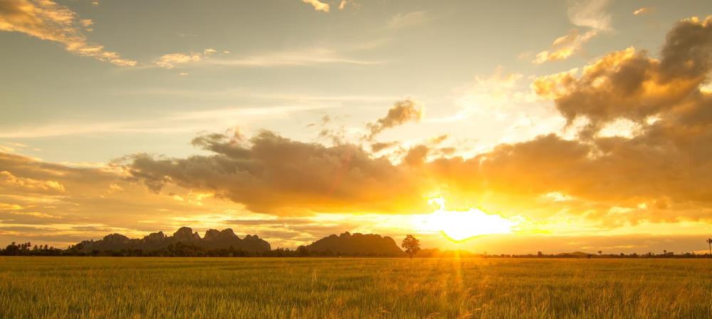 A golden landscape with sun shining through broken white clouds in the sky 