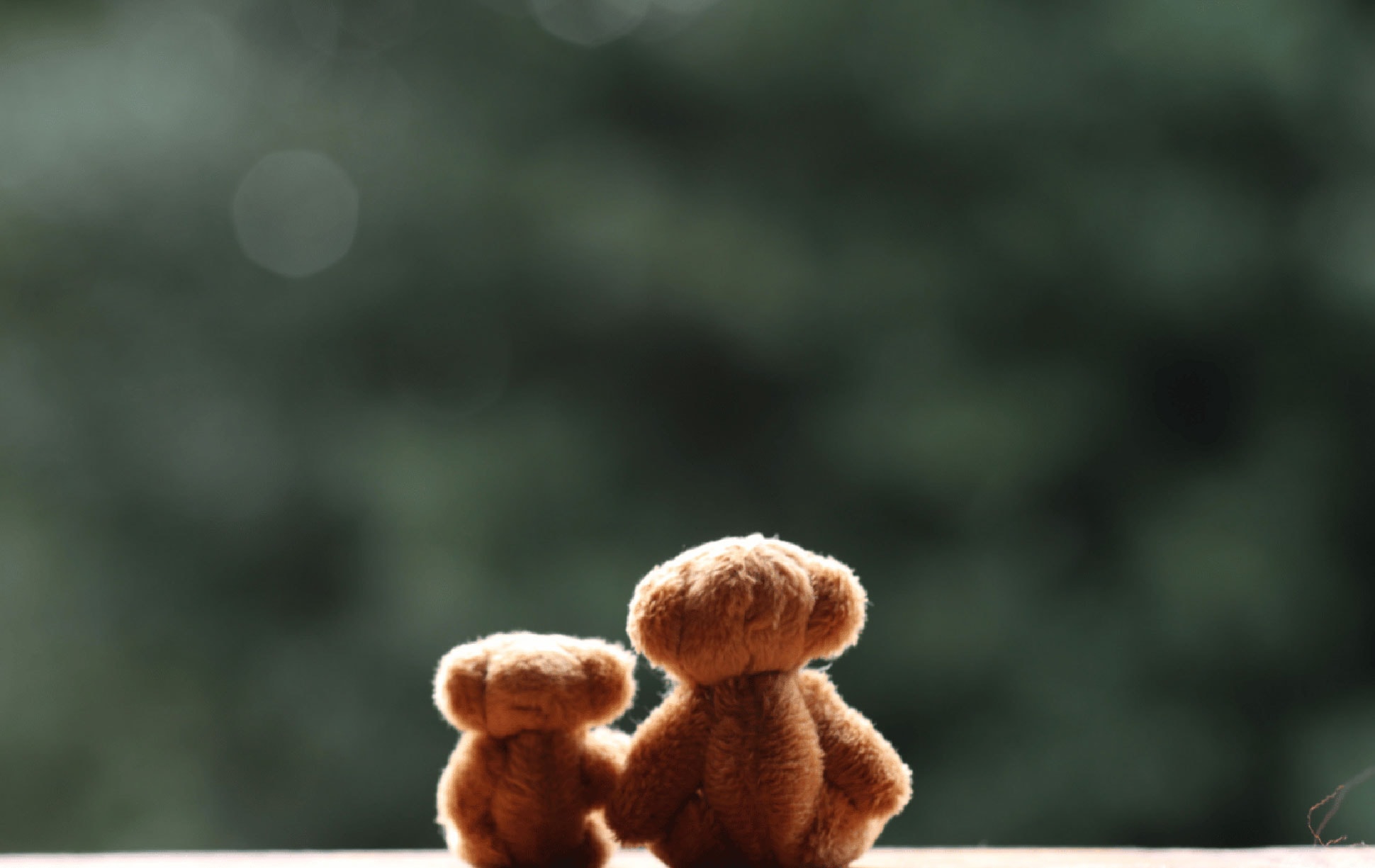 Two teddy bears facing outwards, one lightly larger than the other and appear to be holding hands