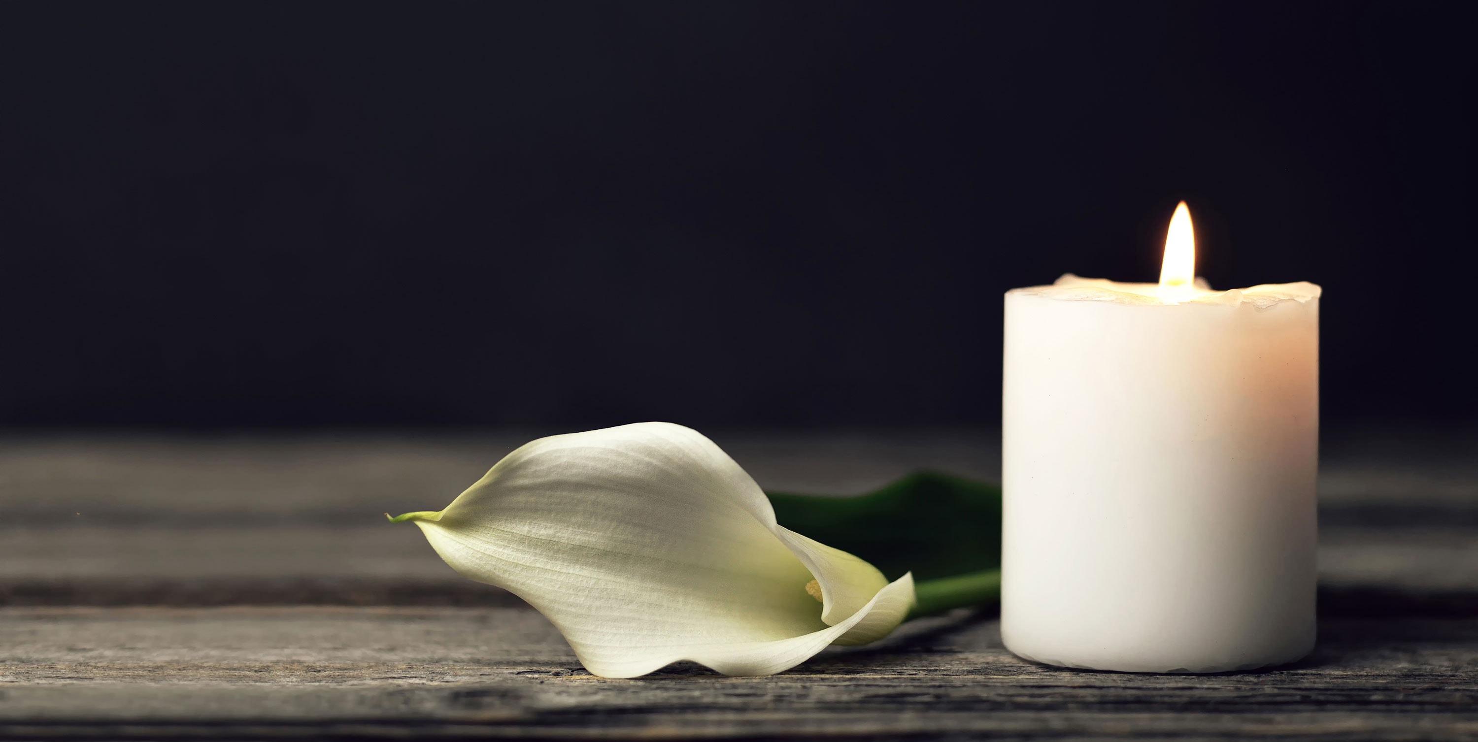 White lily and candle
