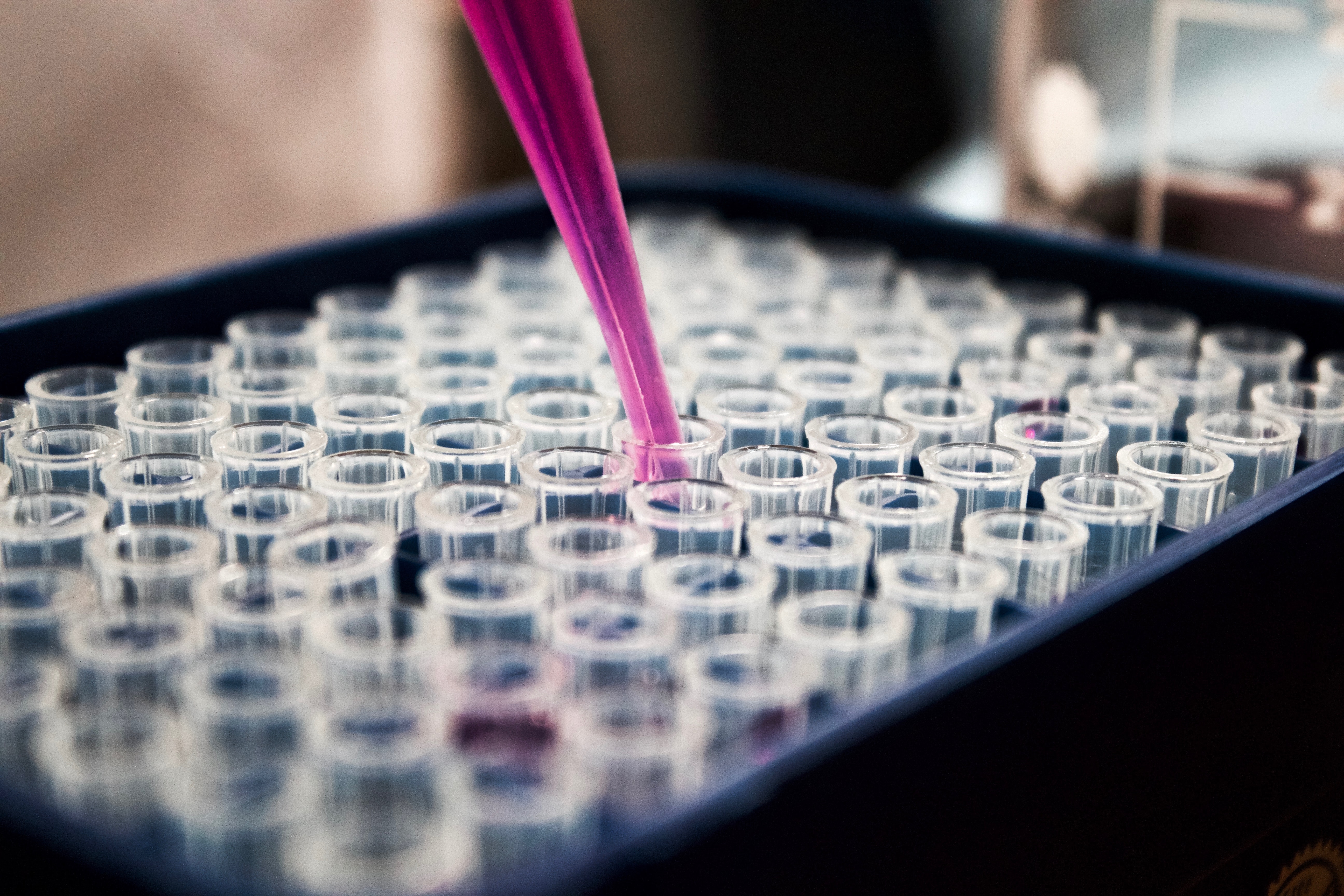 Close up of pipette dropping coloured substance into a tray of test tubes. 