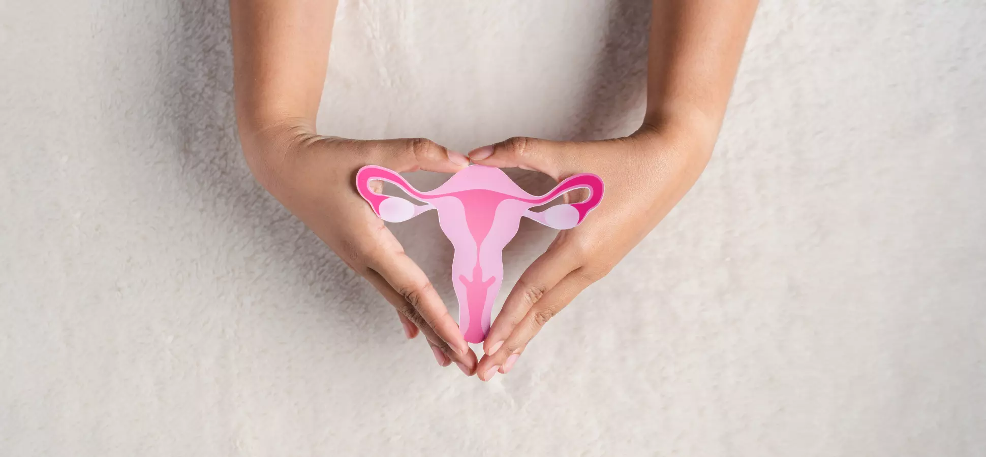 Hands holding paper cutout of illustrated ovaries.