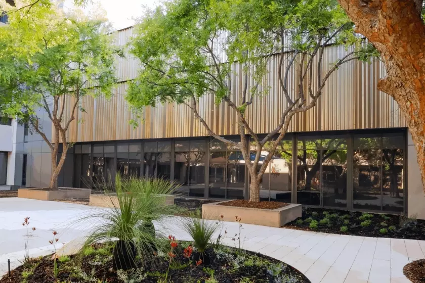 A render of the courtyard of a modern looking building lined with trees and native Australian plants.