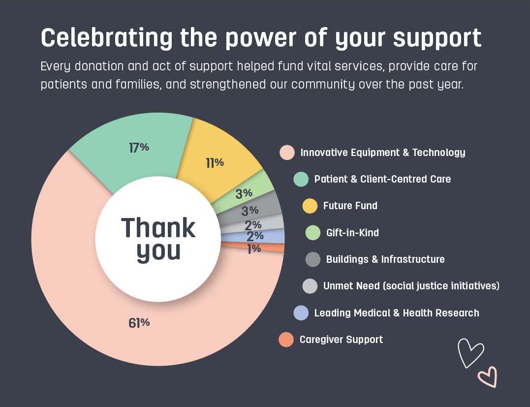 Donor Support pie chart